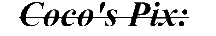 pix.gif (881 bytes)