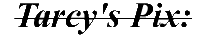 pix2.GIF (1273 bytes)