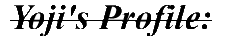 yojipro.gif (1165 bytes)